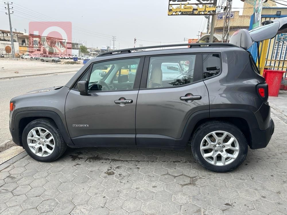 جيب رينيجيد